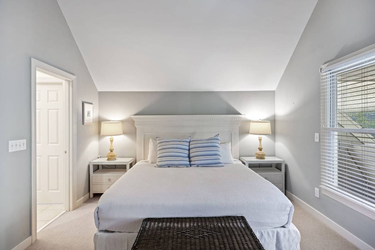 Silver Moss - Image 16