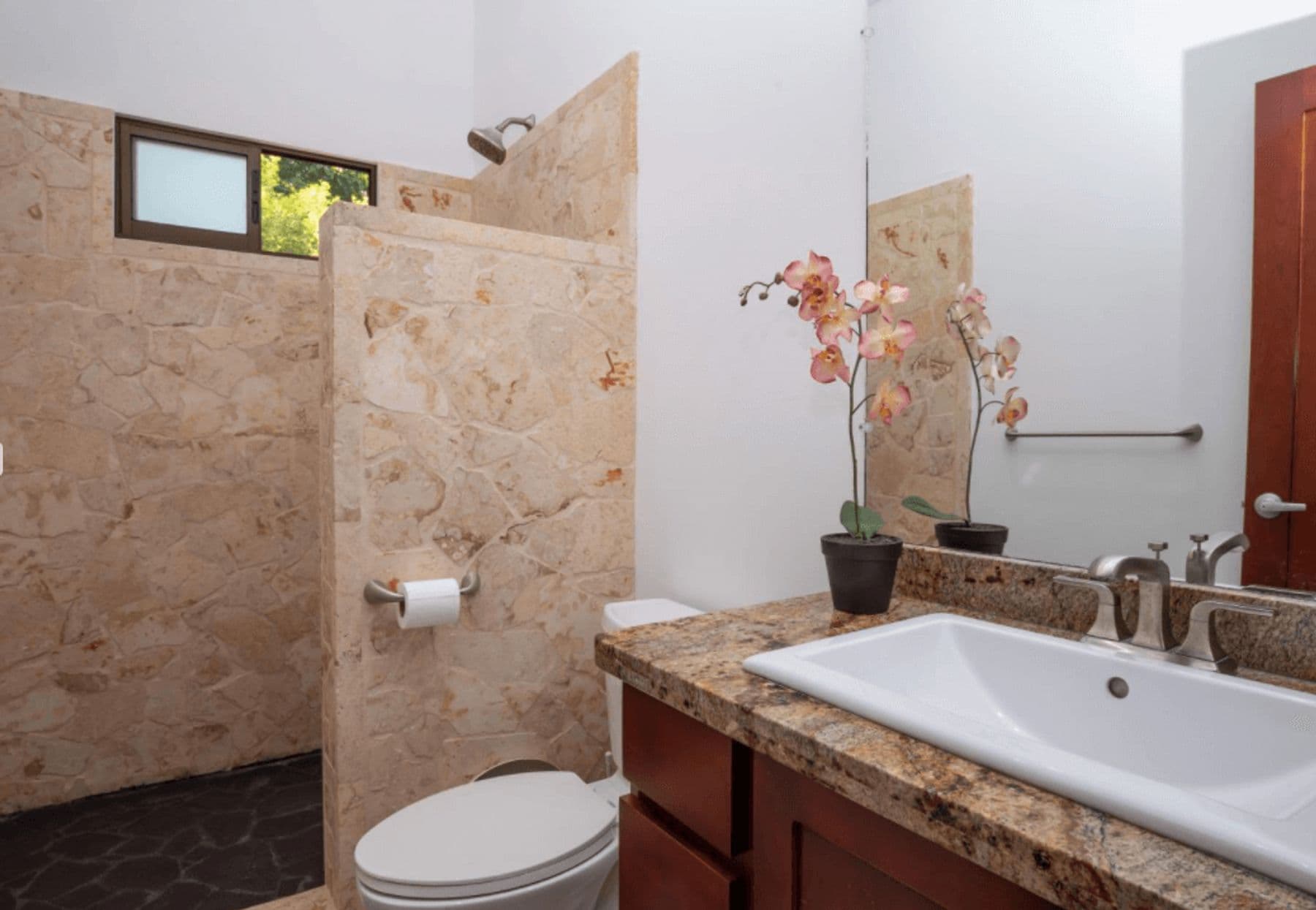 Ballena Bliss - Image 12