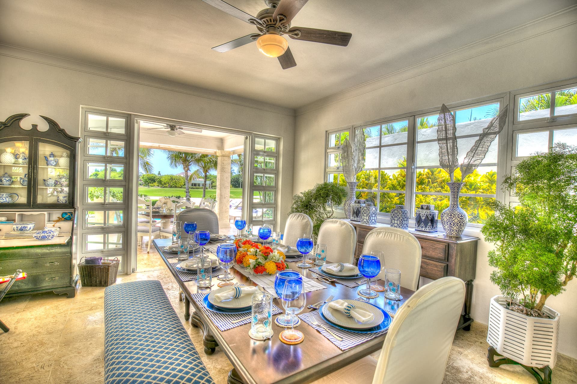 Tortuga Azul - Image 3