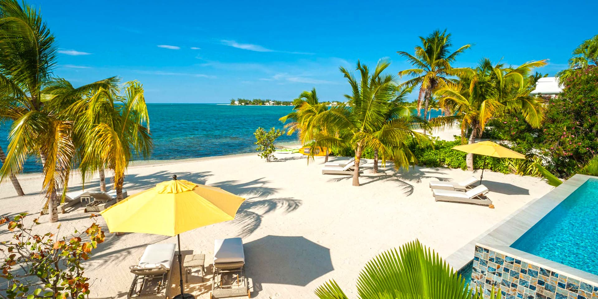 Tropical Majesty - Image 3