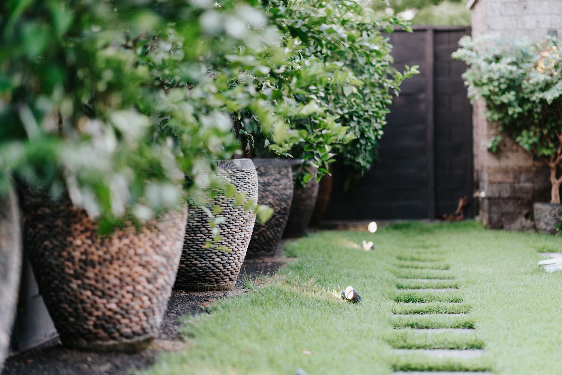 Soul House - Image 56