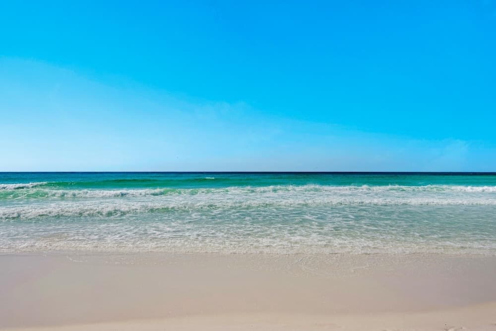 Sugar Shack - Image 60