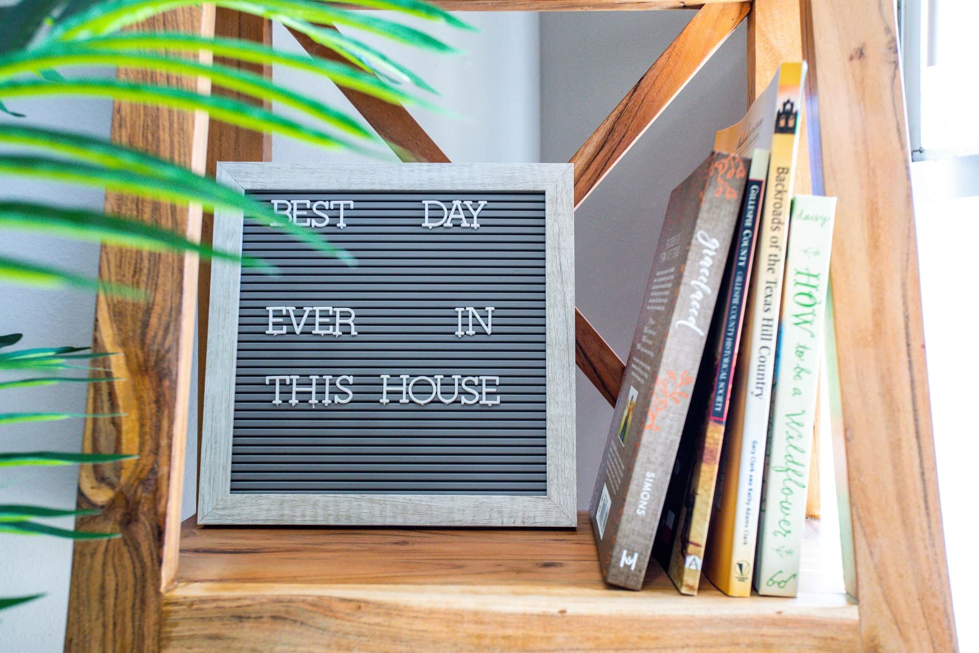 Sunrise Haus - Image 6