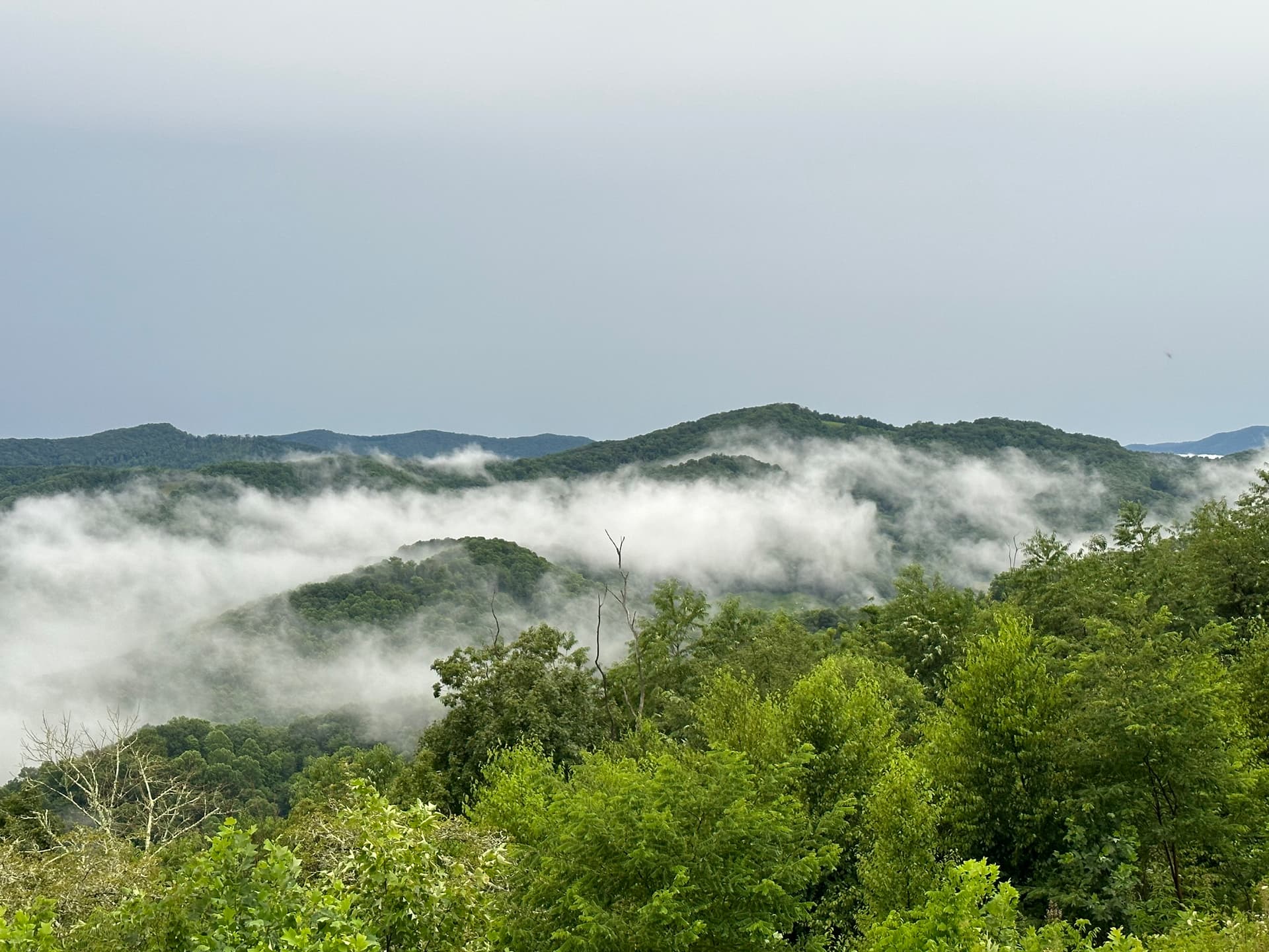 Sunset Summit - Image 39