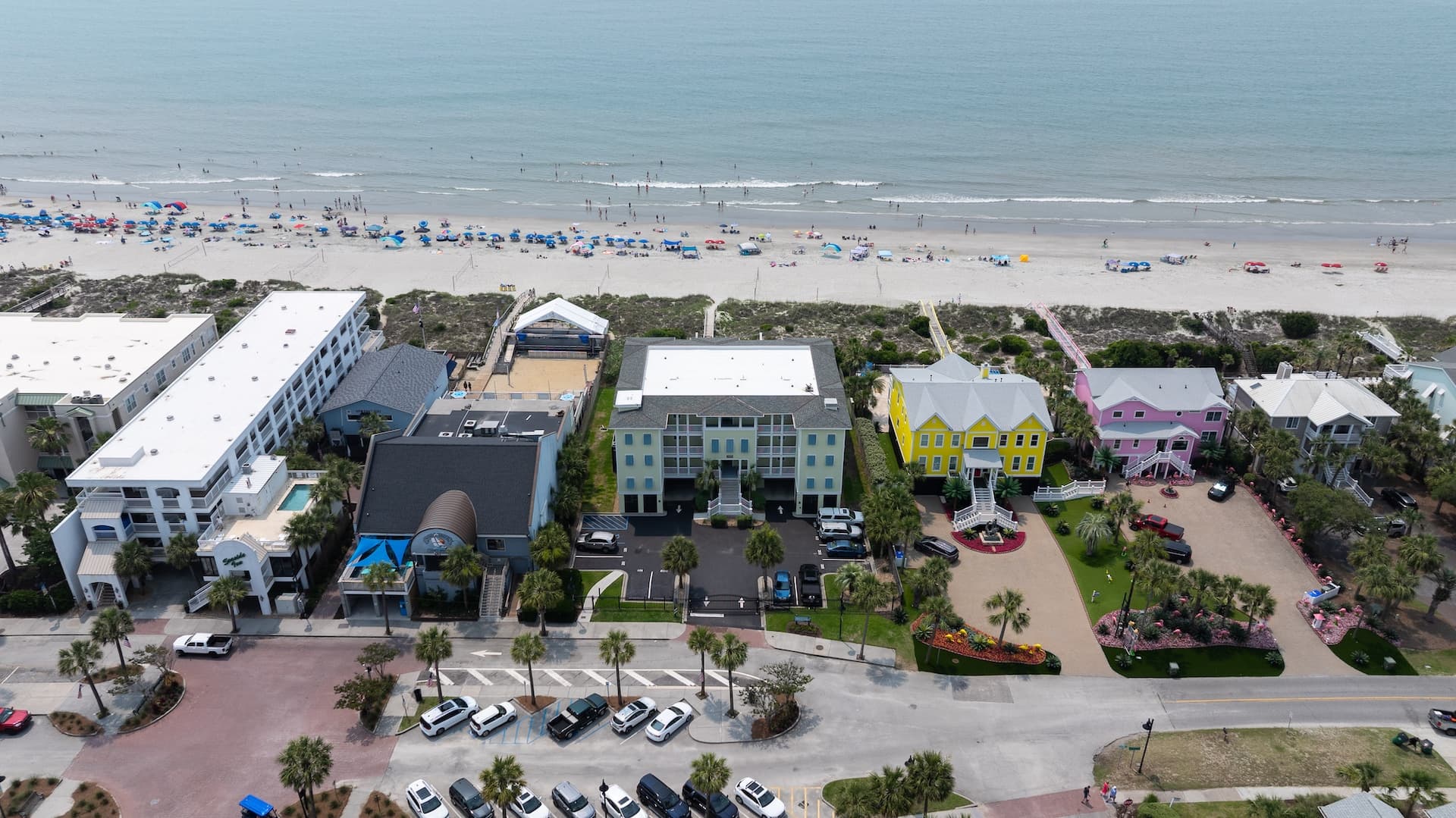 Palms Postcard - Image 44