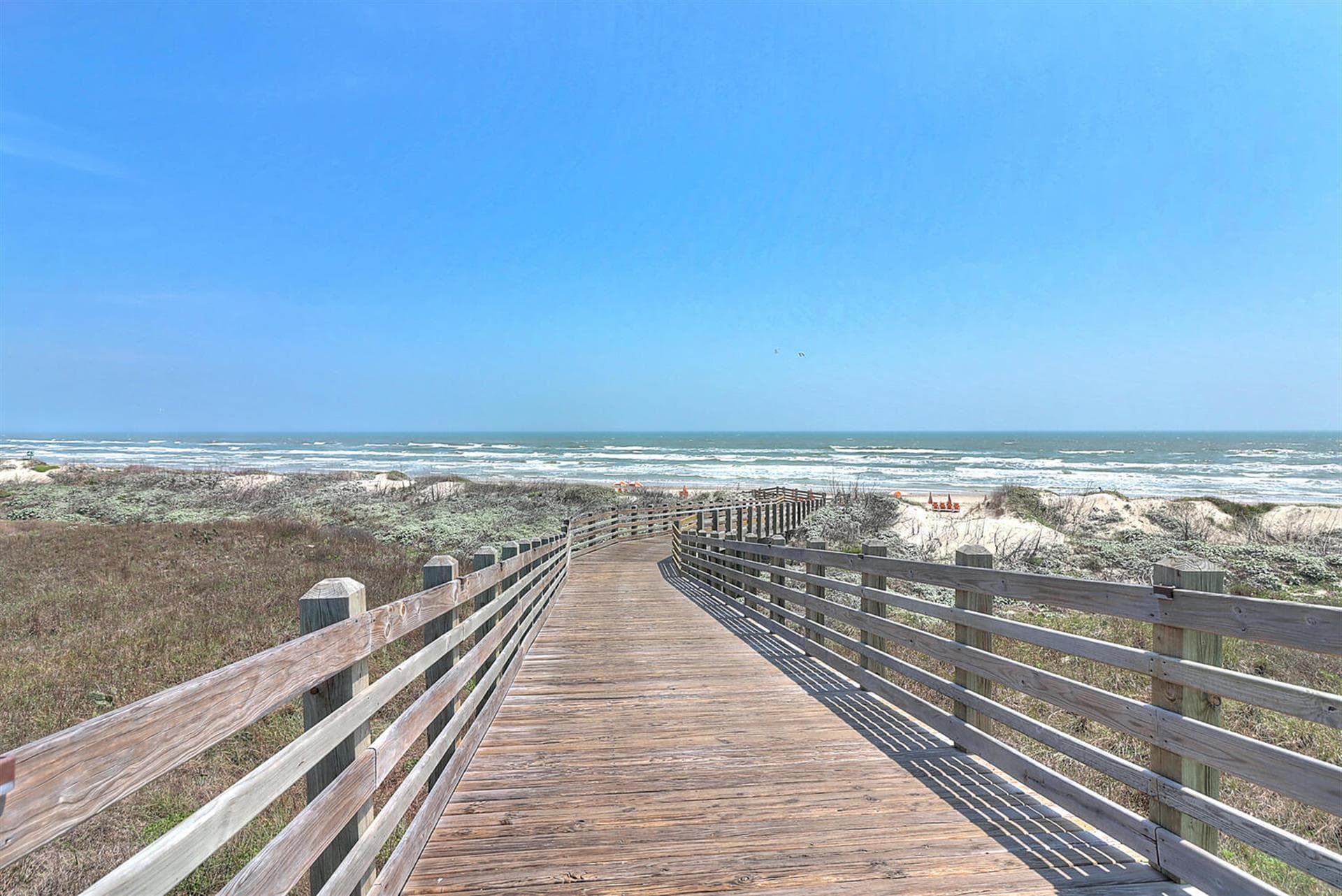 Sea of Dreams - Image 2