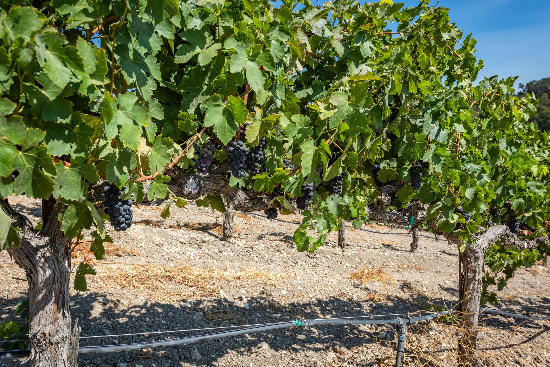 Heartview Cottage Home - Image 15