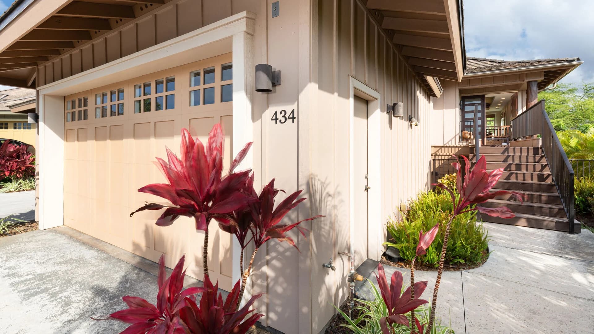 Pineapple Hale - Image 33