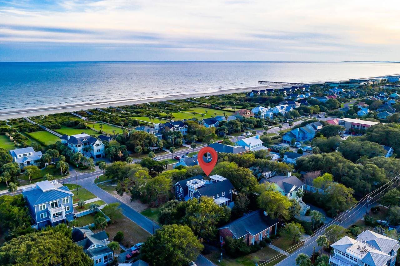 Blue Heron - Image 51