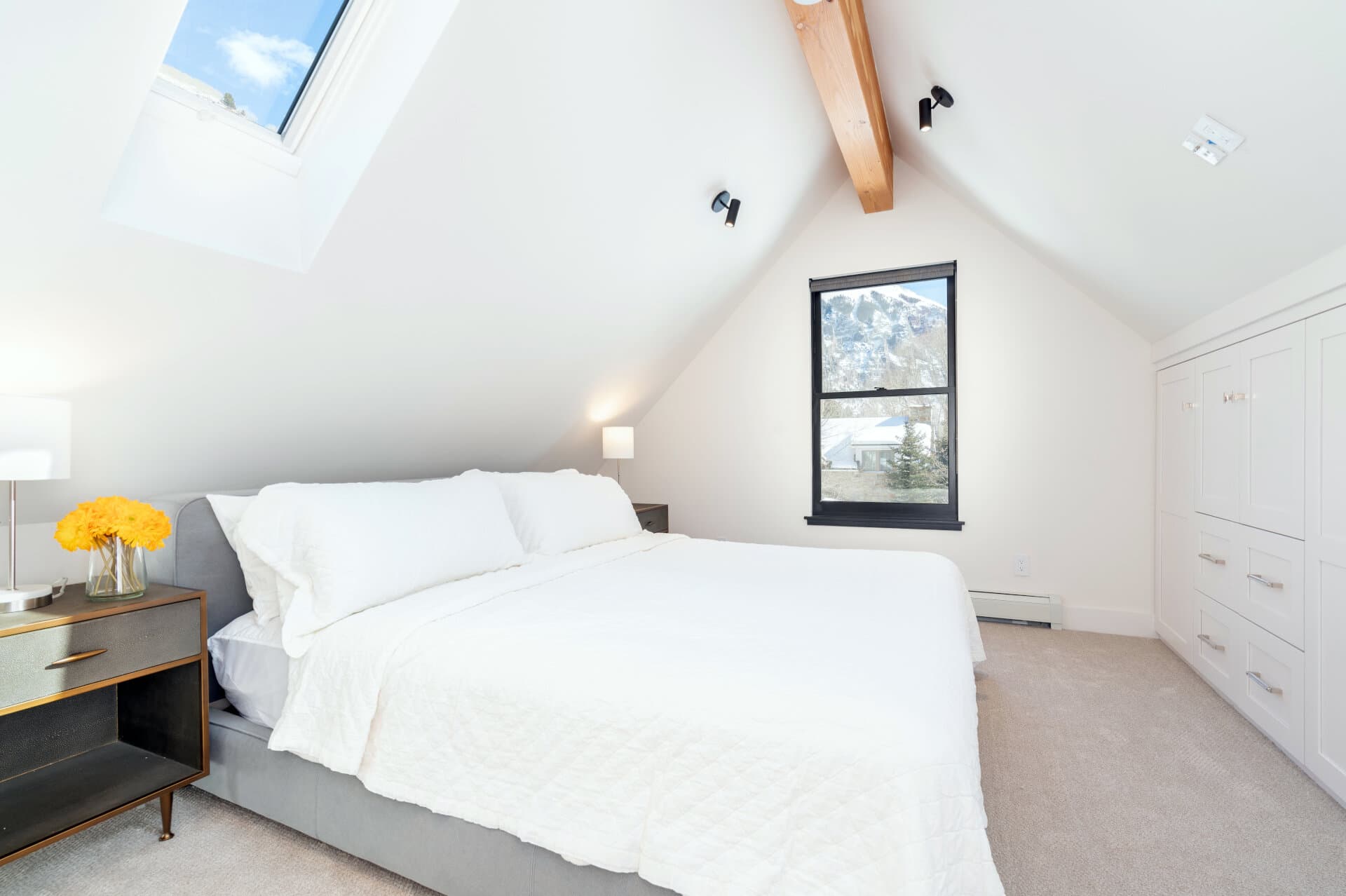 Telluride's Peak - Image 13