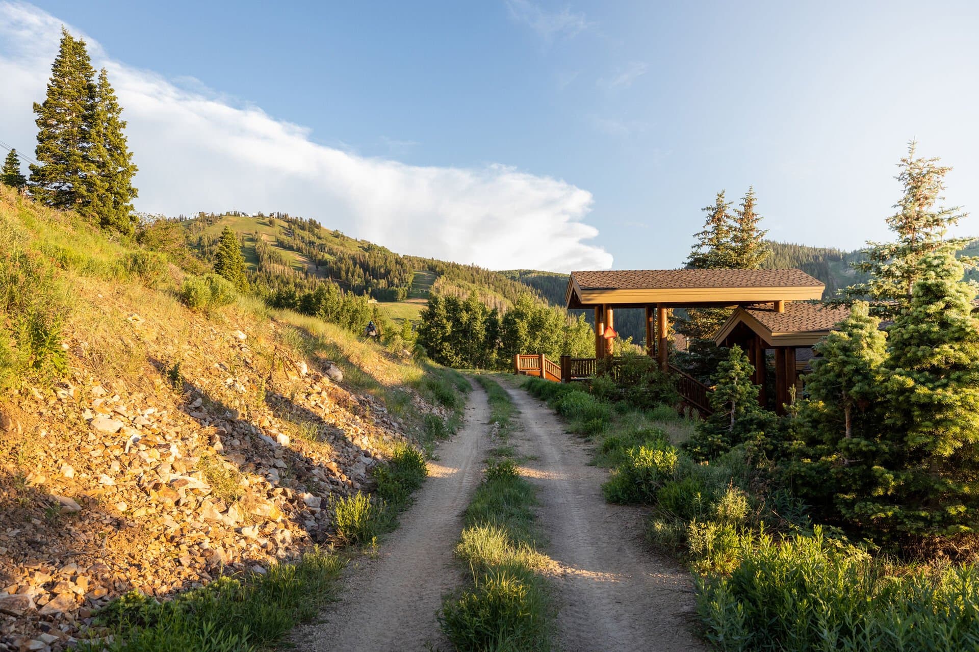 Double Eagle #3 - Image 34