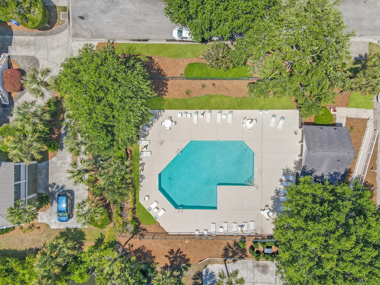 Marshmellow - Image 3