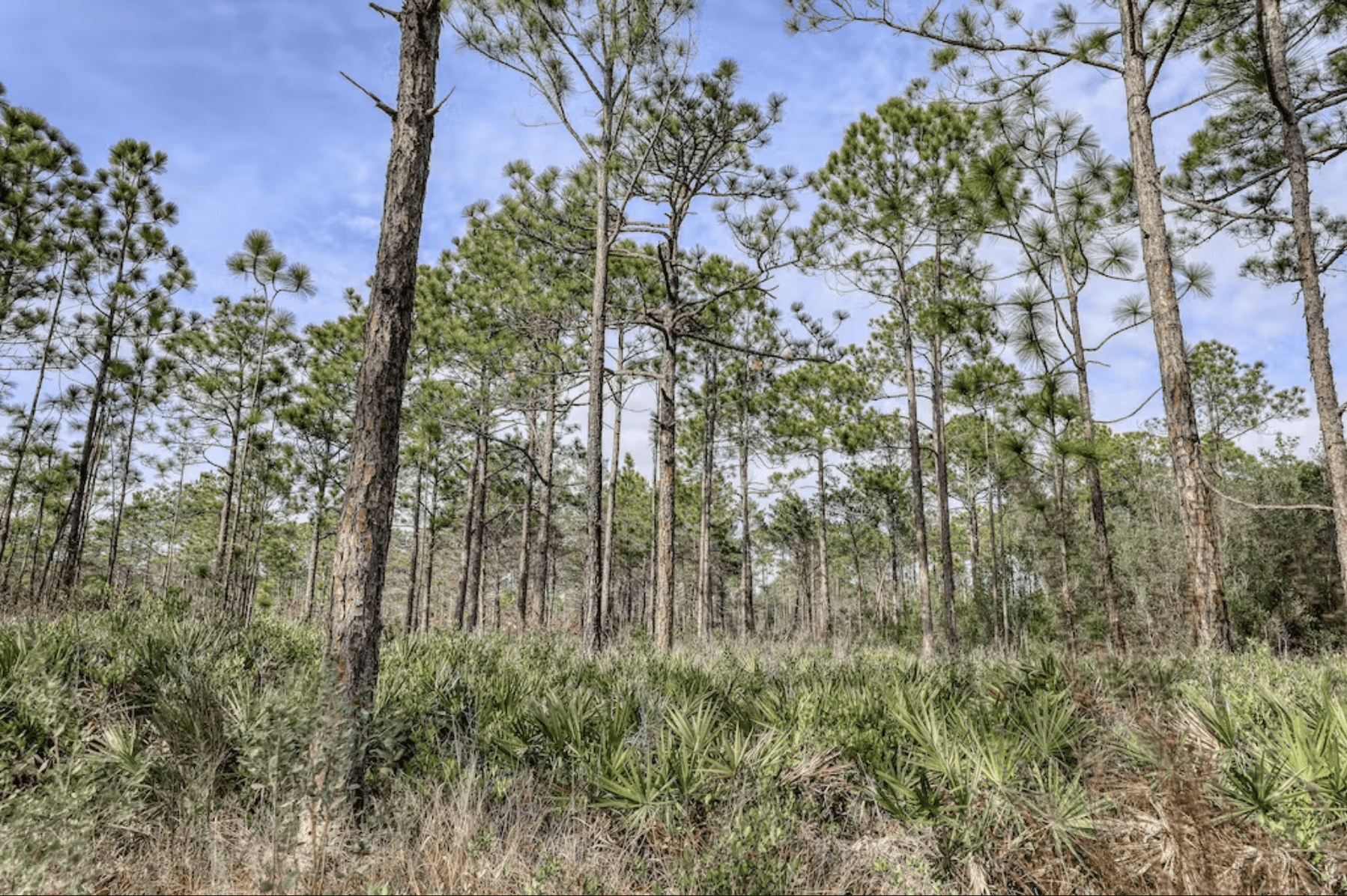 Sea Sanctuary Home - Image 35