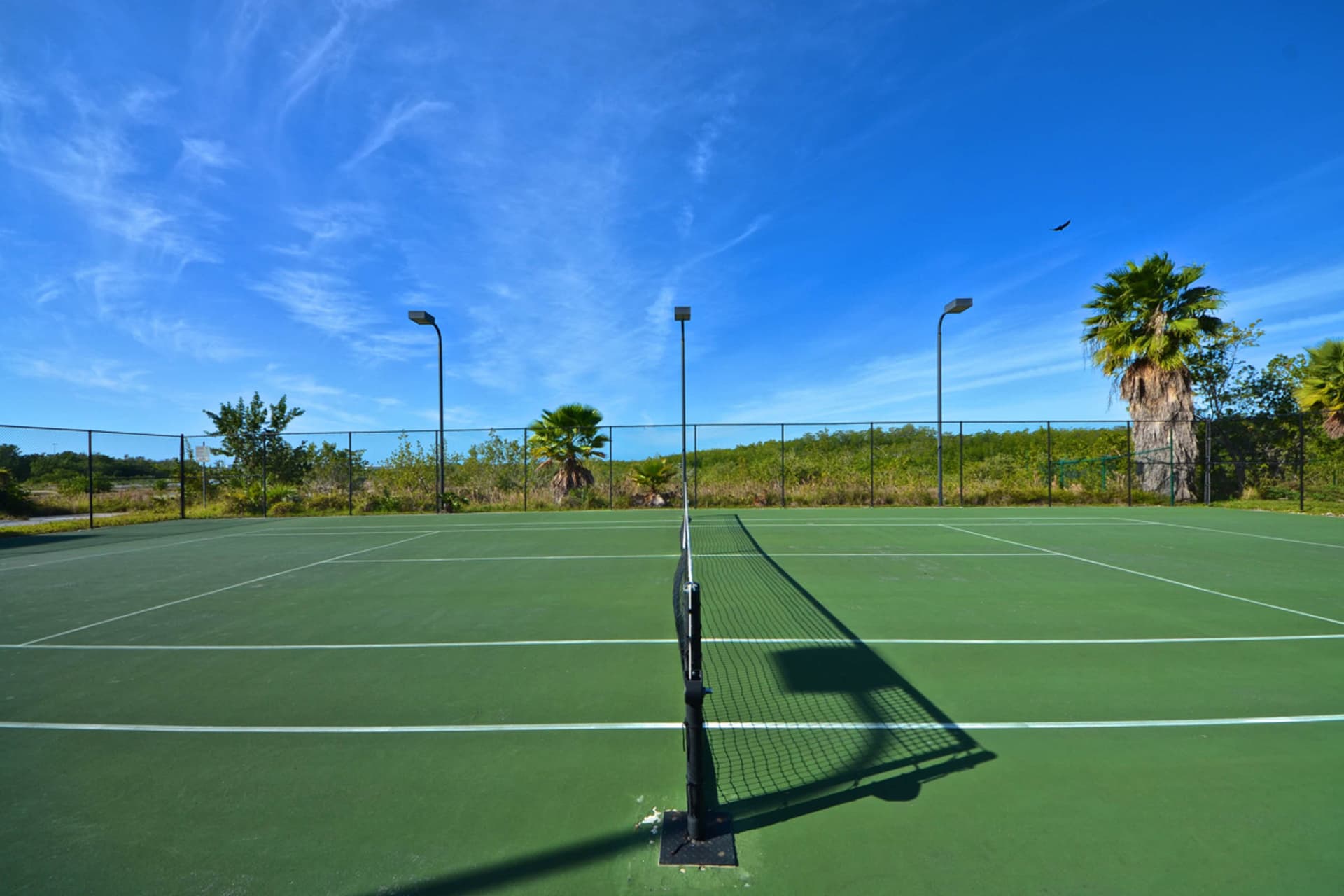 Saint Lucia Suite - Image 32