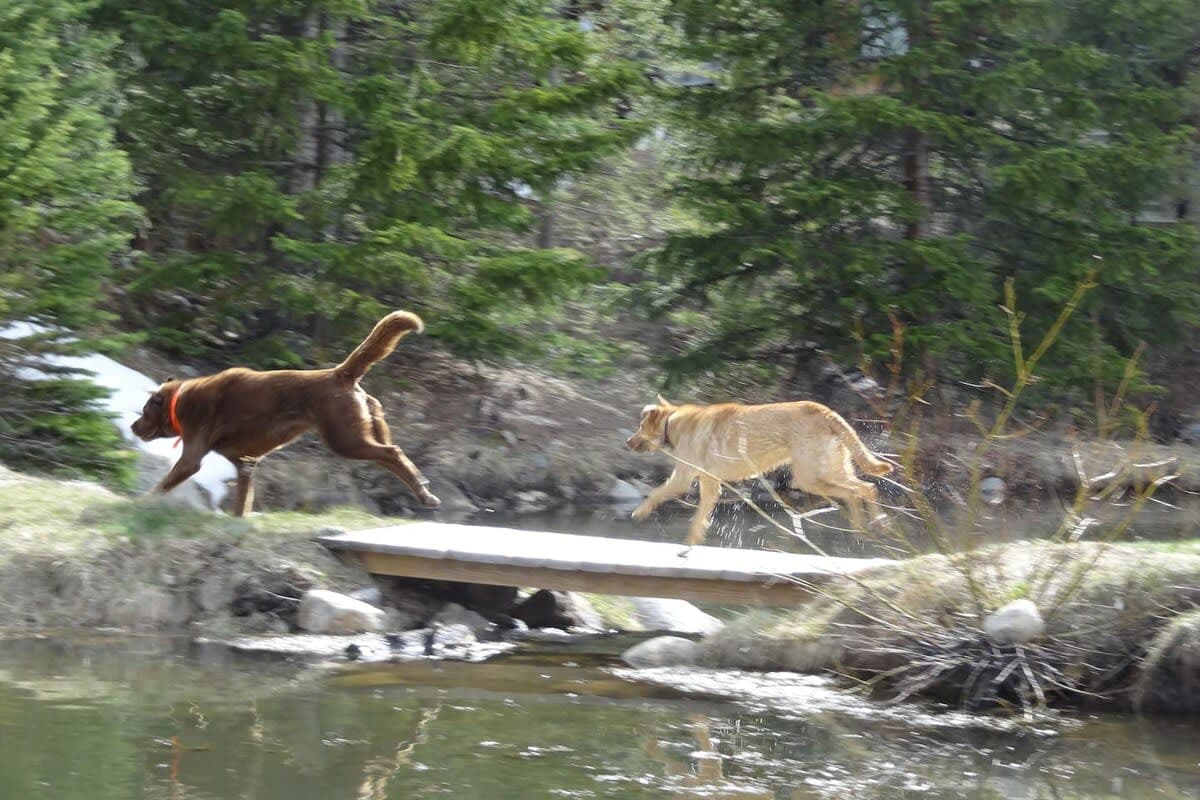 Peaks and Pines - Image 28