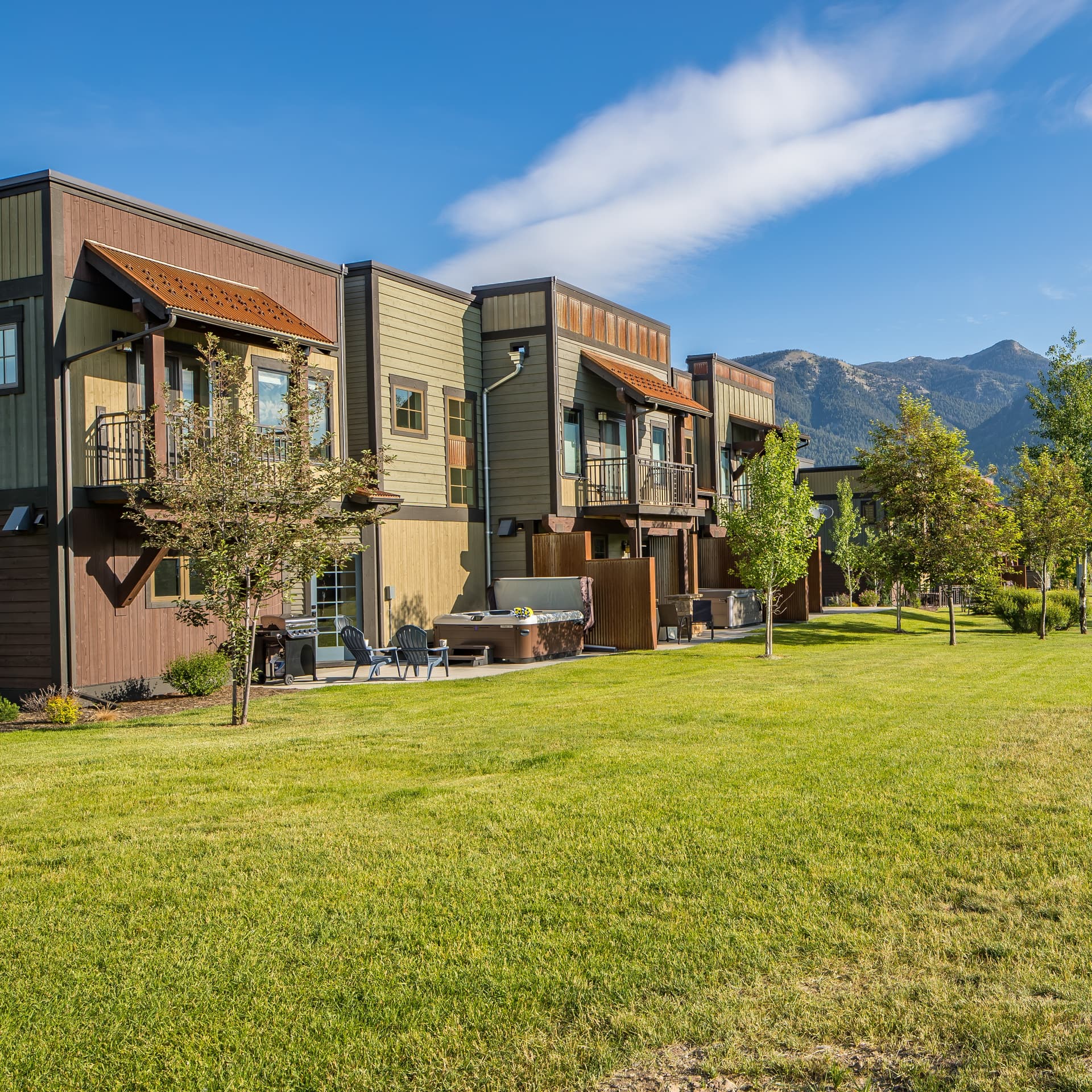 Pheasant #983 - Image 1