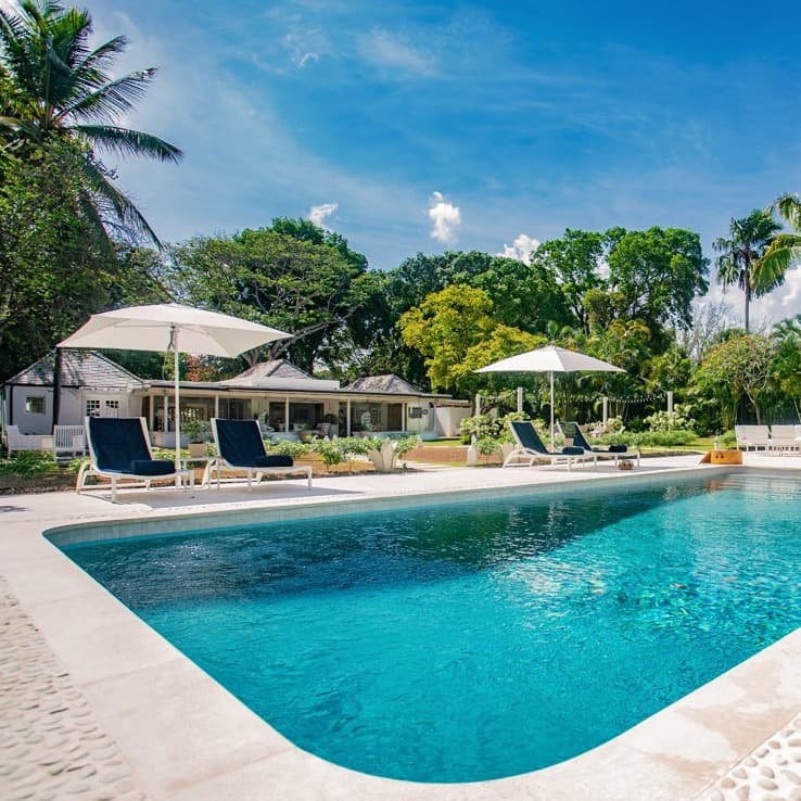 Coconut Tree Place - Image 23