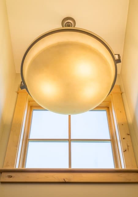 Pheasant #992 - Image 30