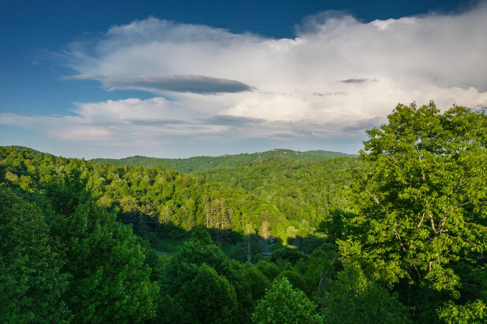 Paws a While - Image 67