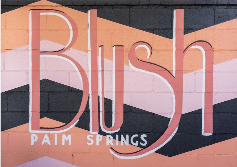 Blush Palm Springs - Image 53