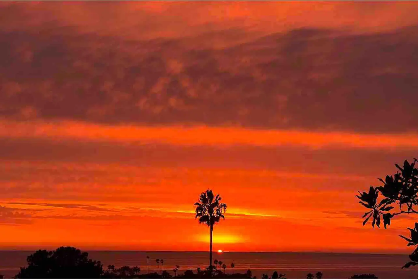 Solana House - Image 45