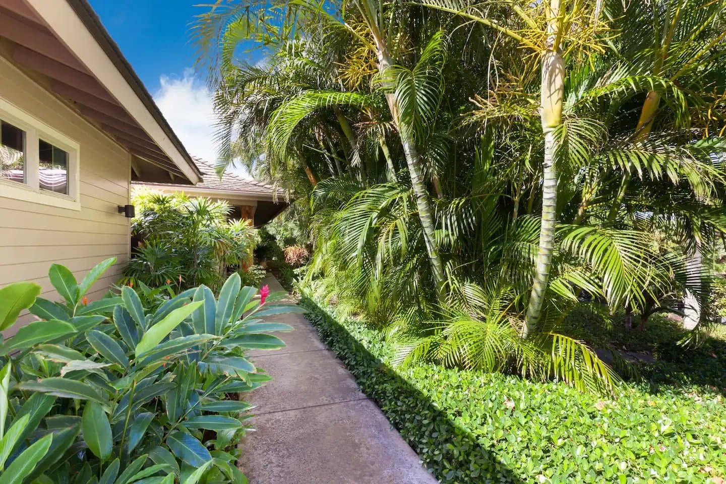 Ocean Wave - Image 39