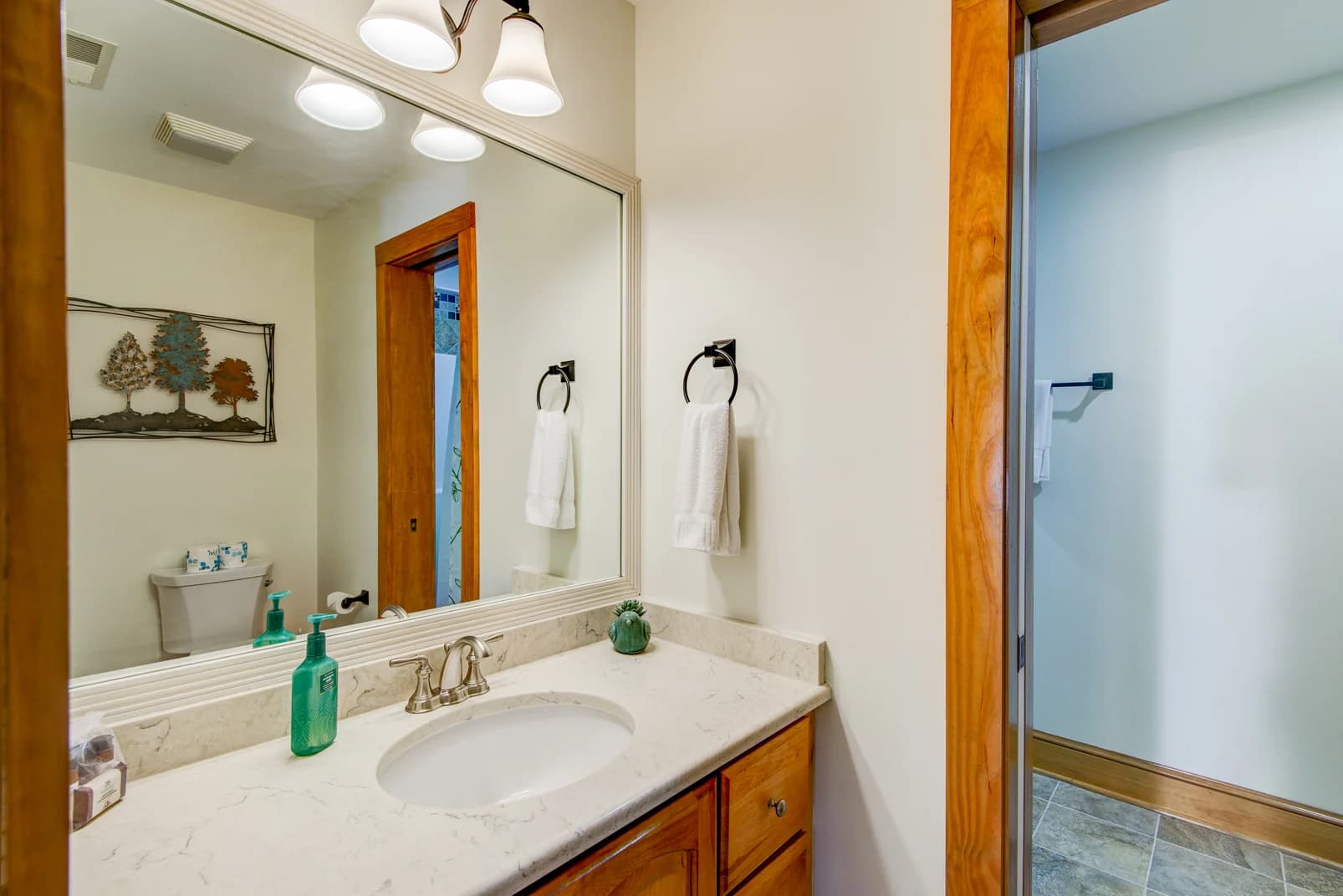 Peace at Echota - Image 31