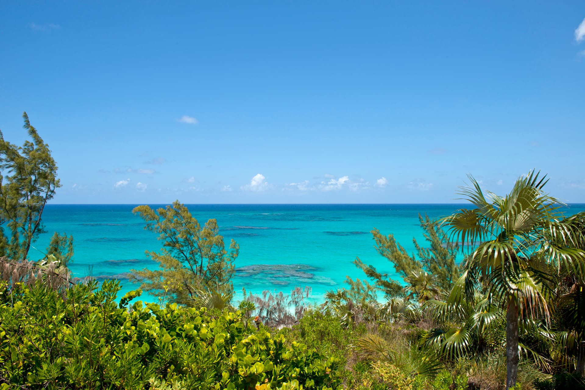 Tourmaline - Image 16