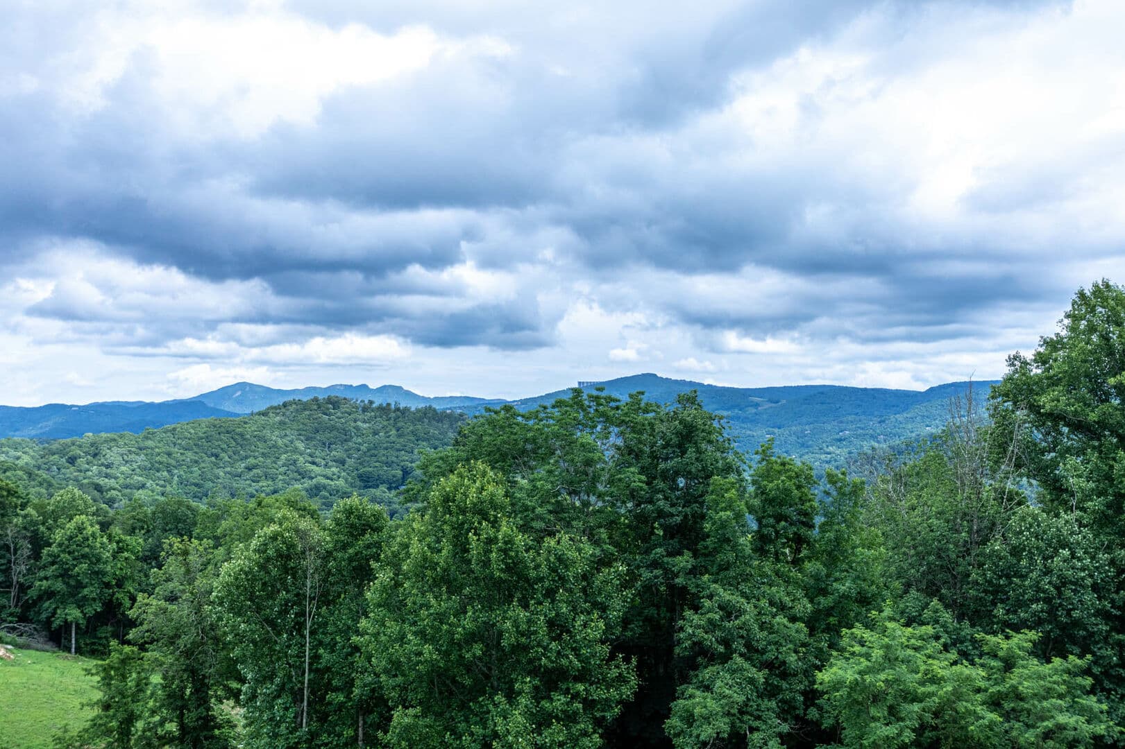 Lazy Bear Home - Image 2