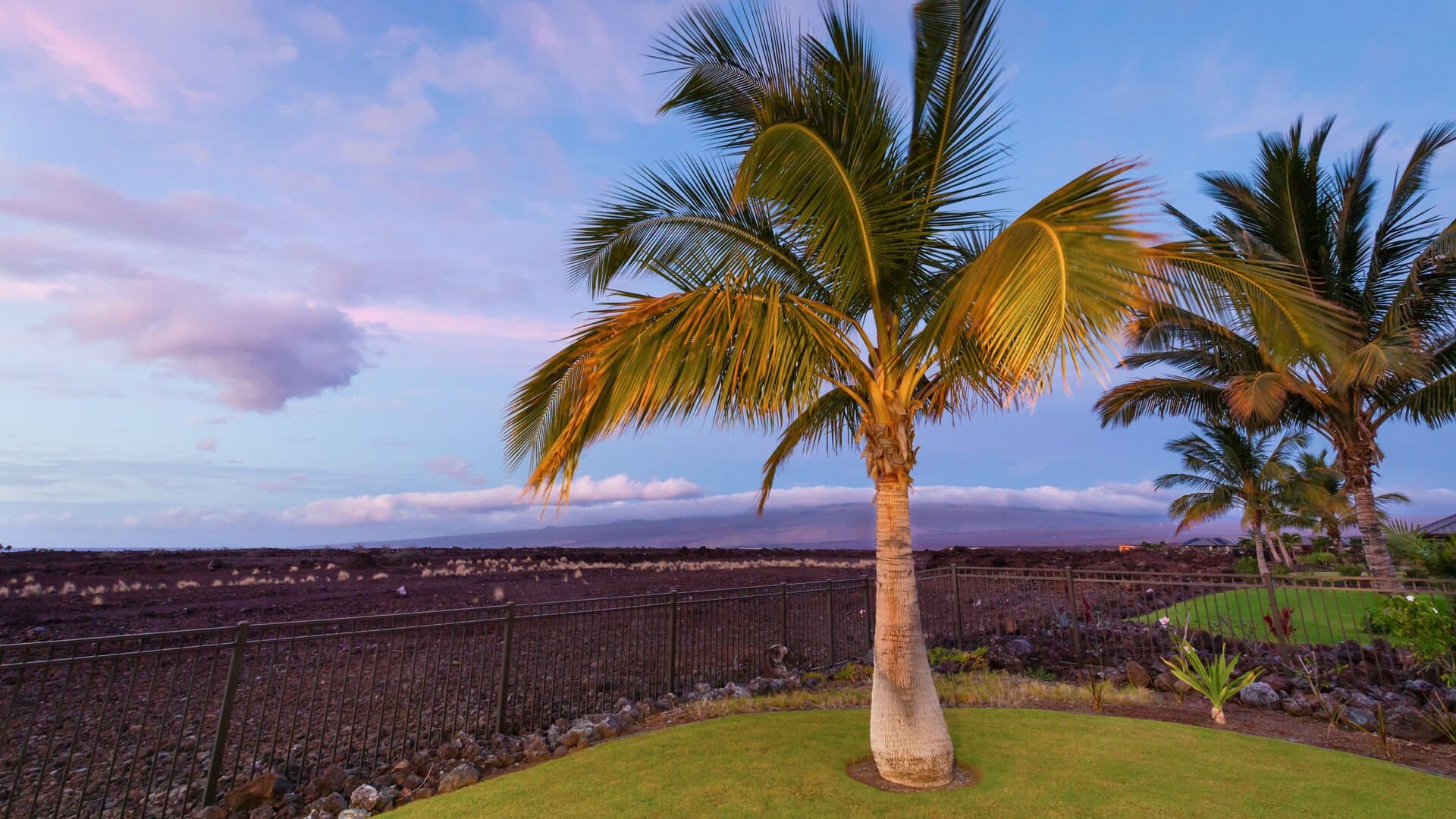 Starry Nights - Image 50