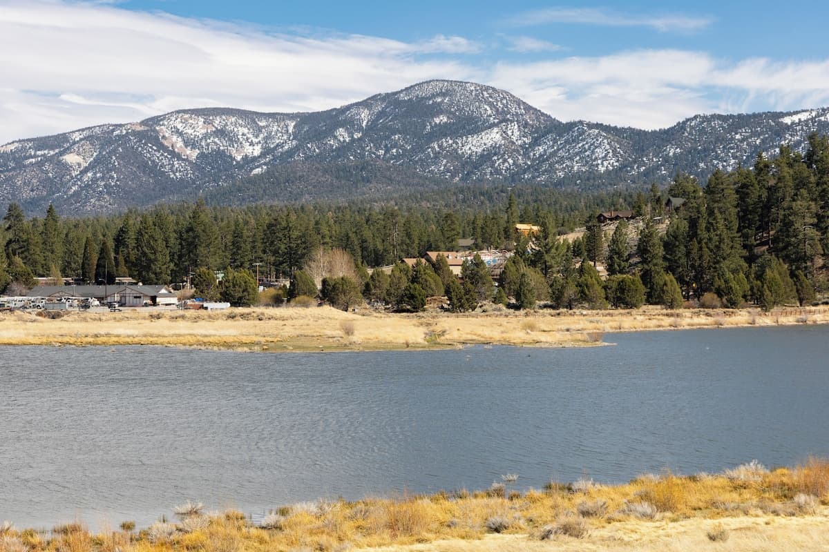 Bear Loop - Image 45