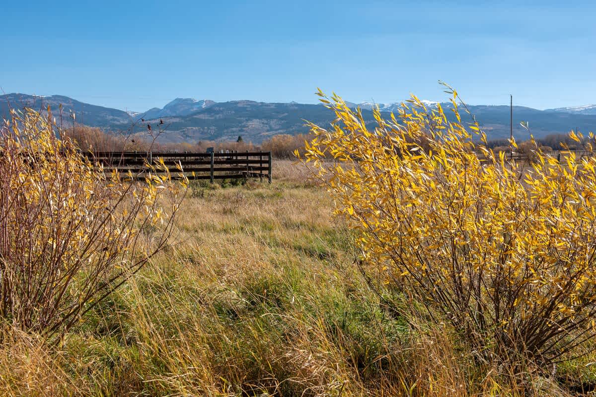 Teton Vista Retreat - Image 55