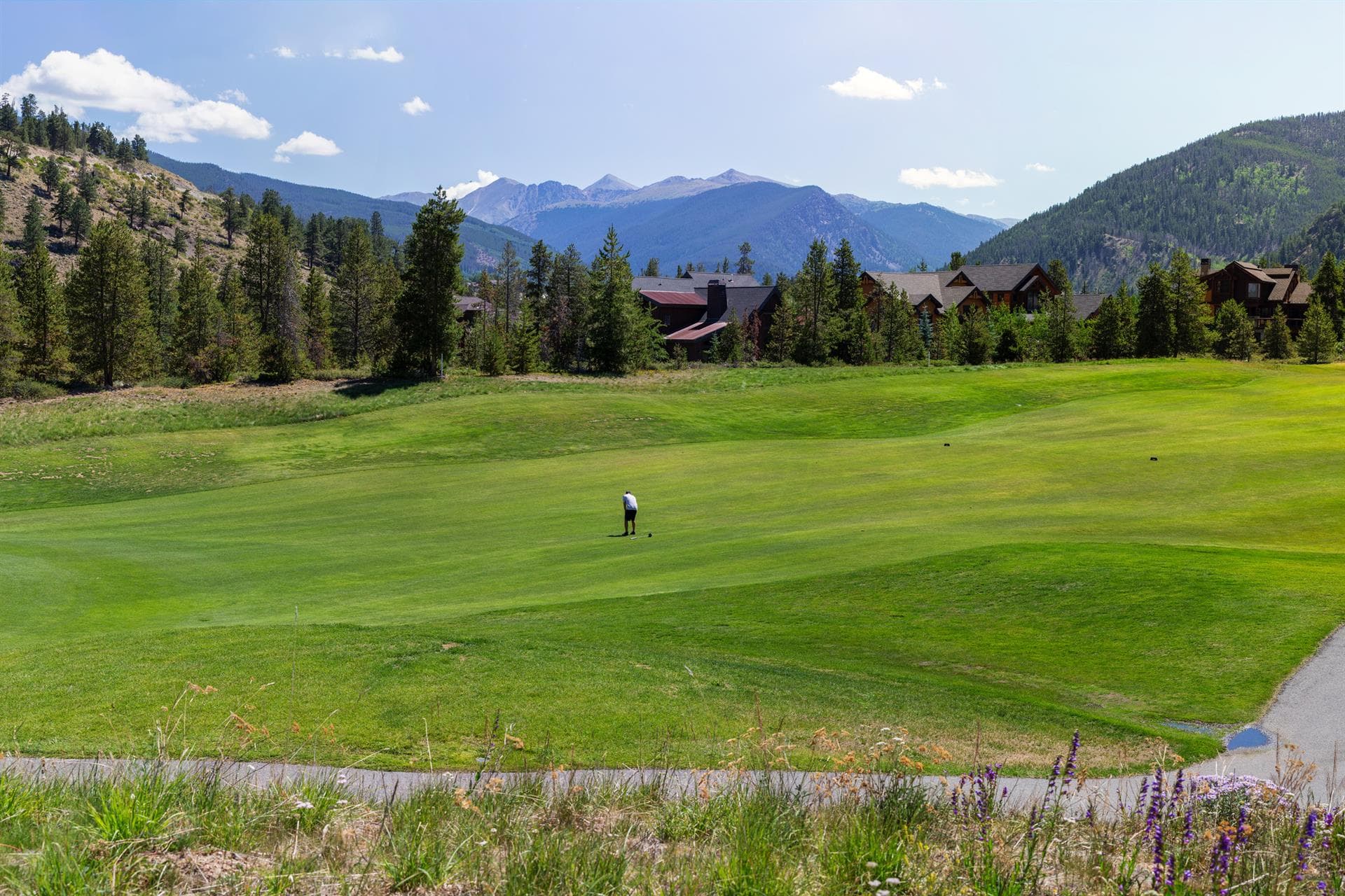 Elk Circle - Image 64