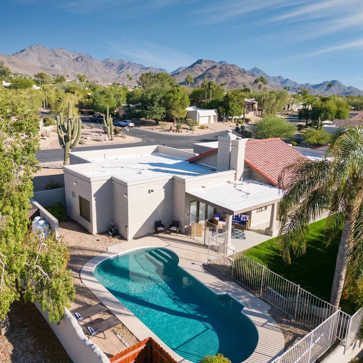 Sonoran Sunshine - Image 1