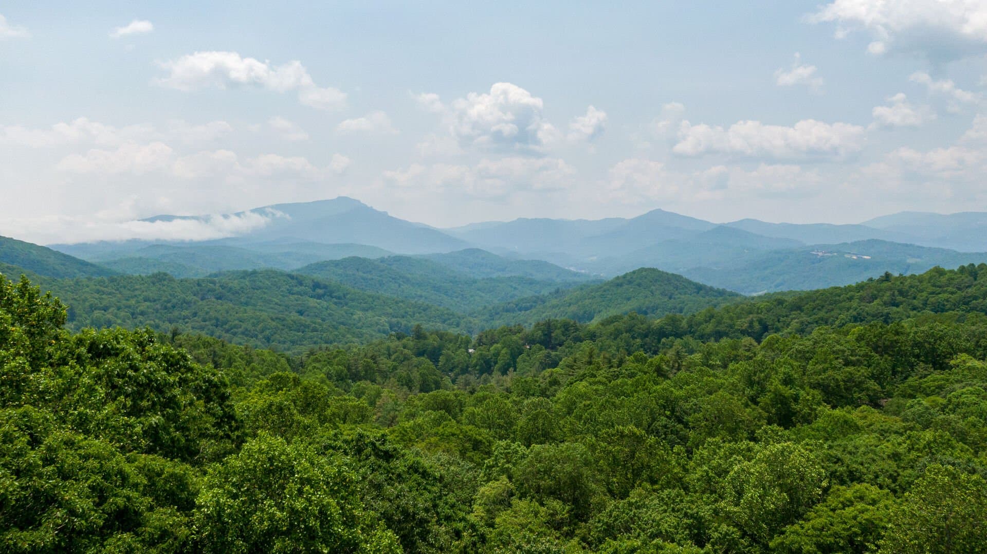 Amitola at Yonahlossee - Image 65