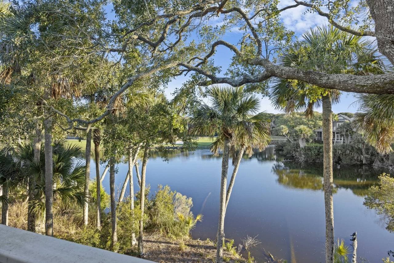 Silver Moss - Image 40