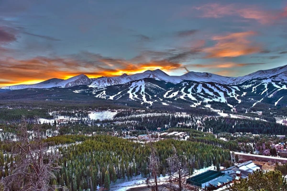 Gold Timberline - Image 3