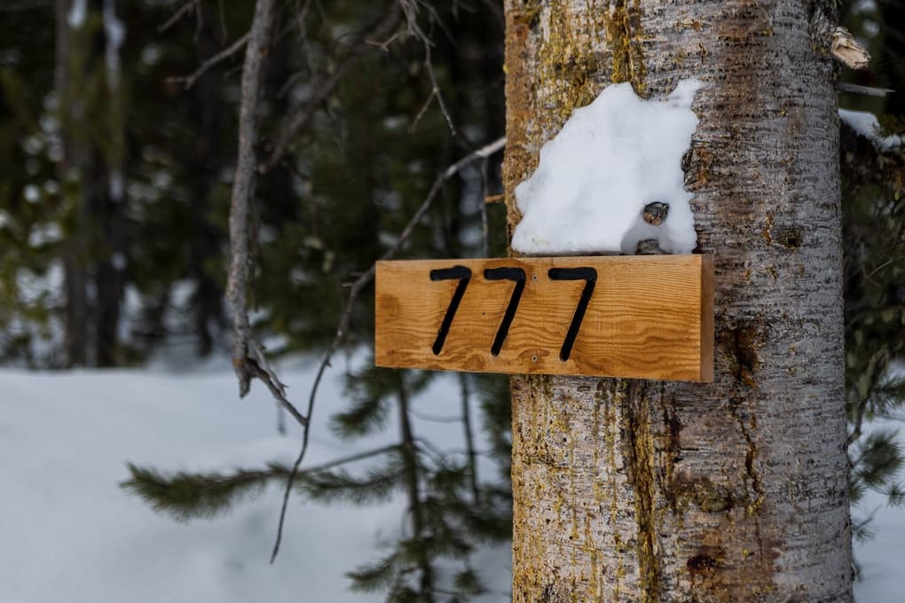 Lost Trails - Image 130