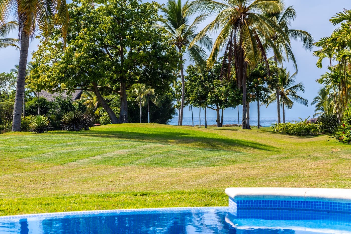 Las Palmas #5 - Image 32