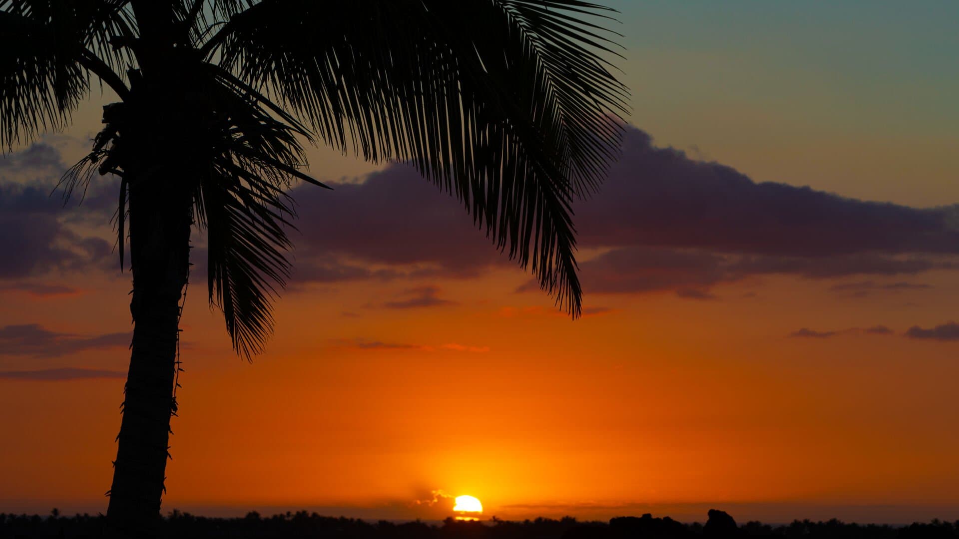 Sunset Breeze - Image 57