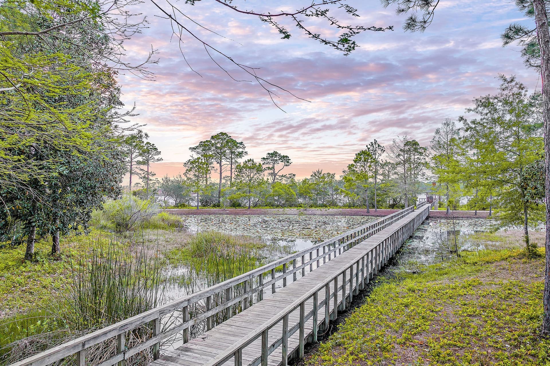 Seabbatical - Image 68