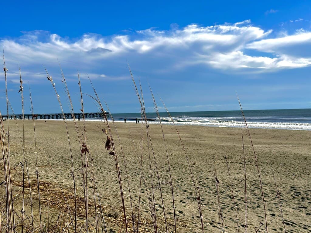 Ocean Boulevard Residence - Image 40