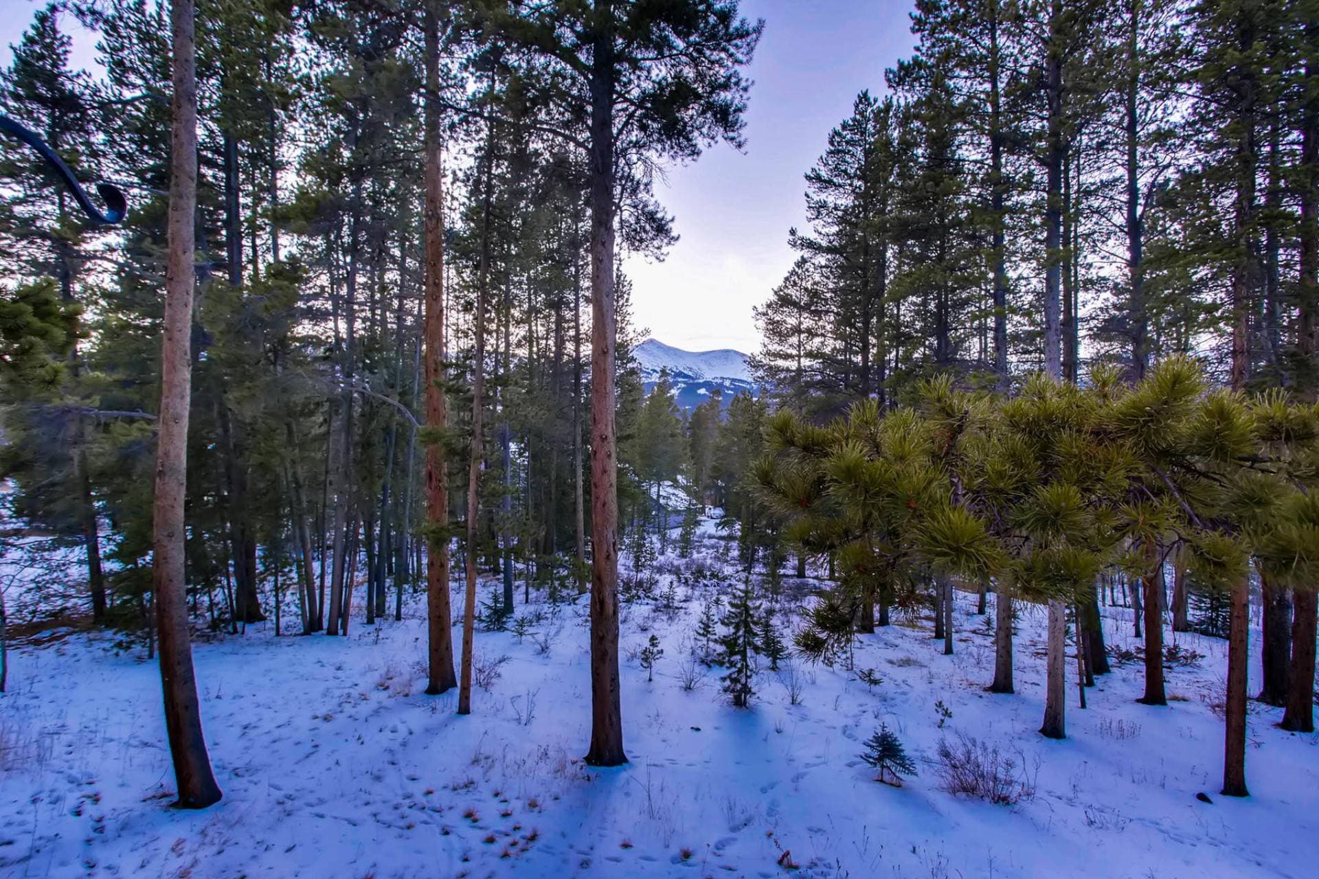 Pine Crest Place - Image 42