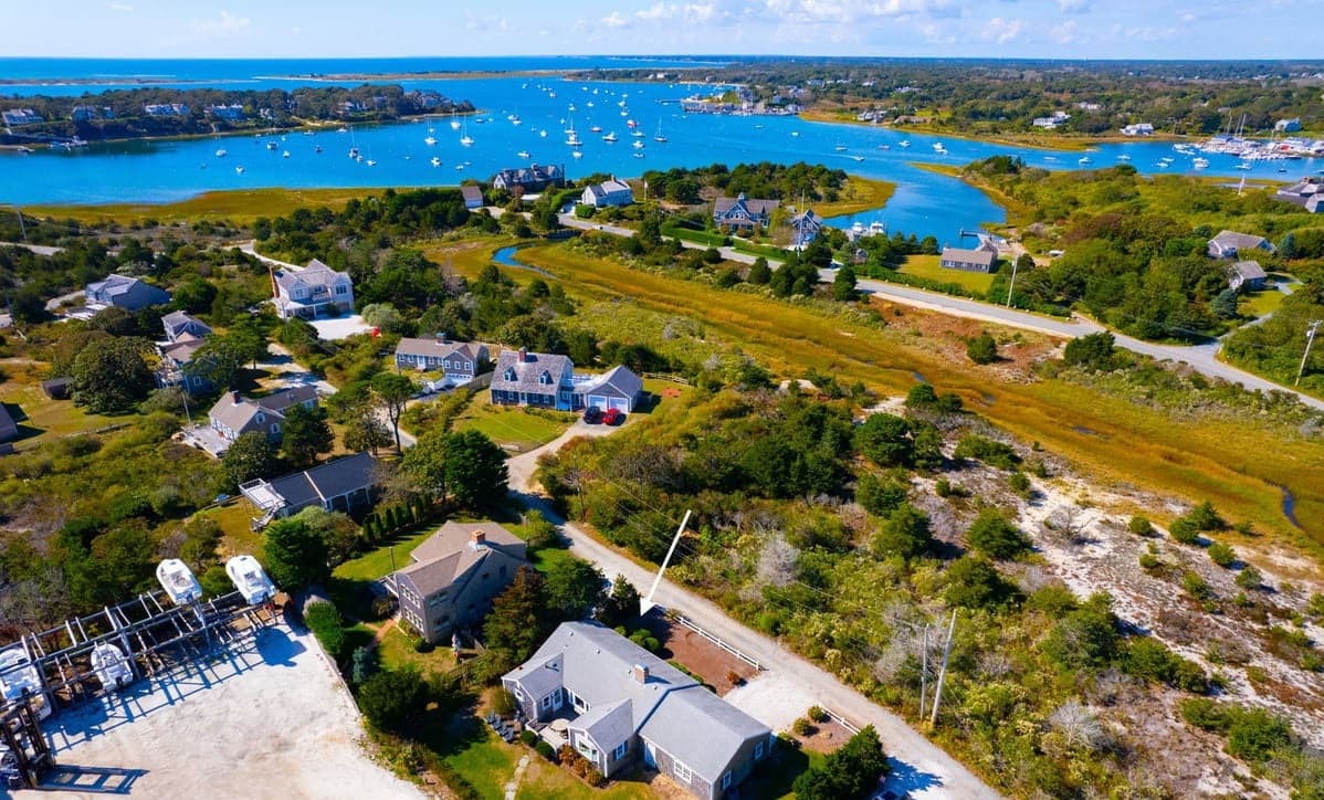 Whale Song - Image 27