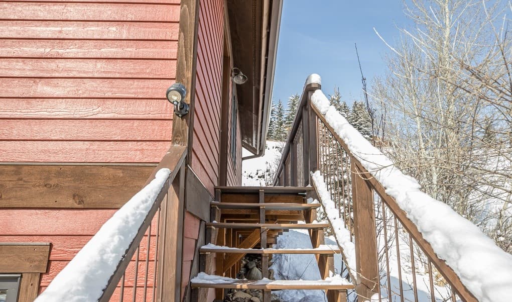 Little Coyote #2573 - Image 26