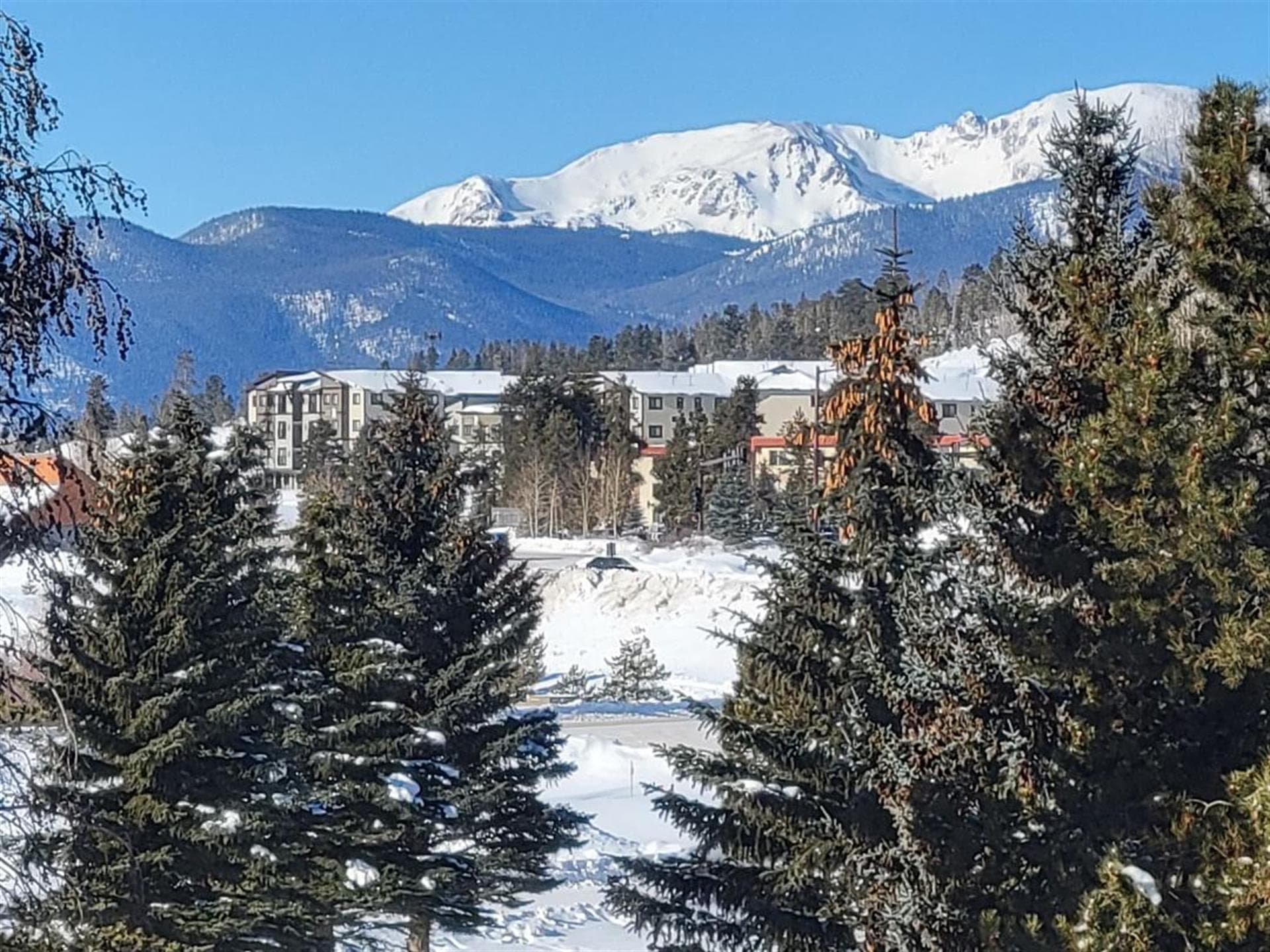 Breezy Meadow - Image 4