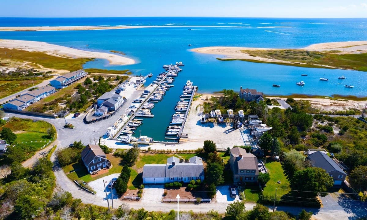 Whale Song - Image 22