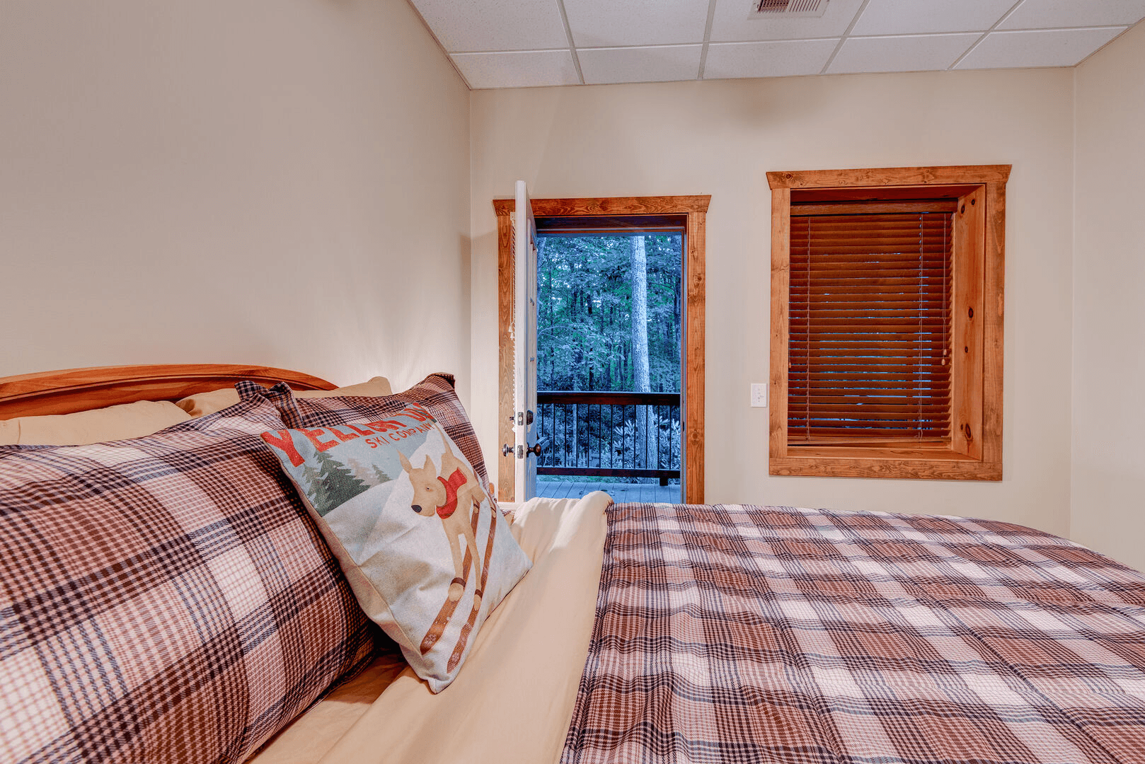 High on Cloud Nine - Image 26