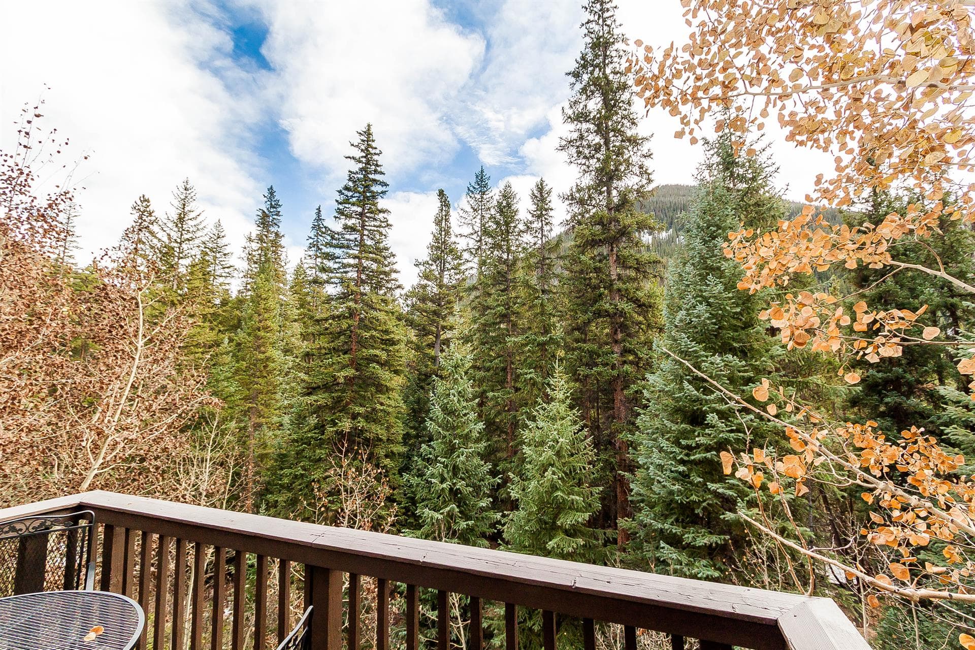 Treetop Haven Retreat - Image 3