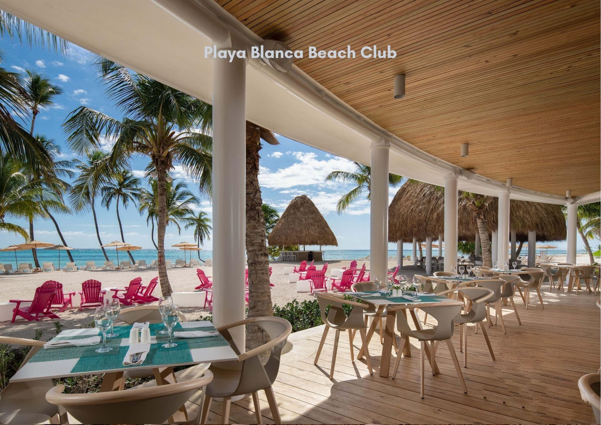 Tortuga Azul - Image 23